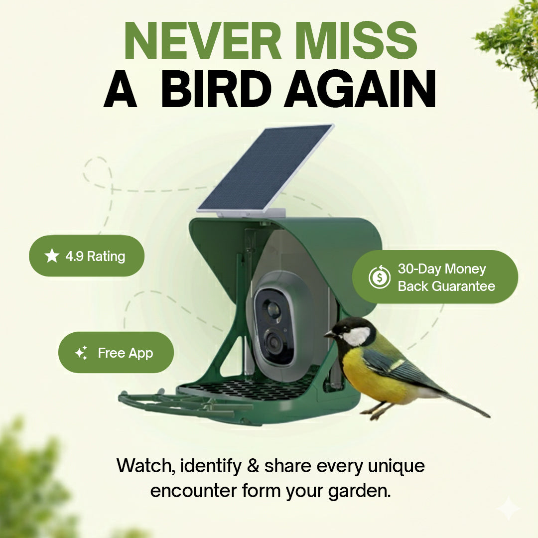 HappyBird Lite - SMART birdfeeder with camera