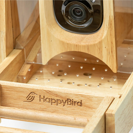 Smart Bird Feeder