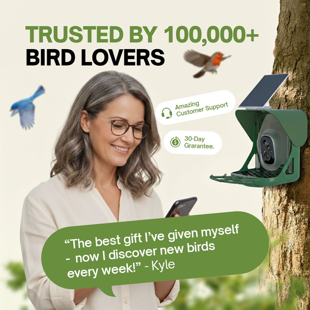 HappyBird Lite - SMART birdfeeder with camera