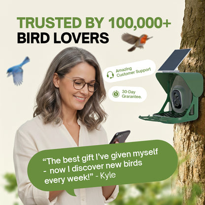 HappyBird Lite - SMART birdfeeder with camera