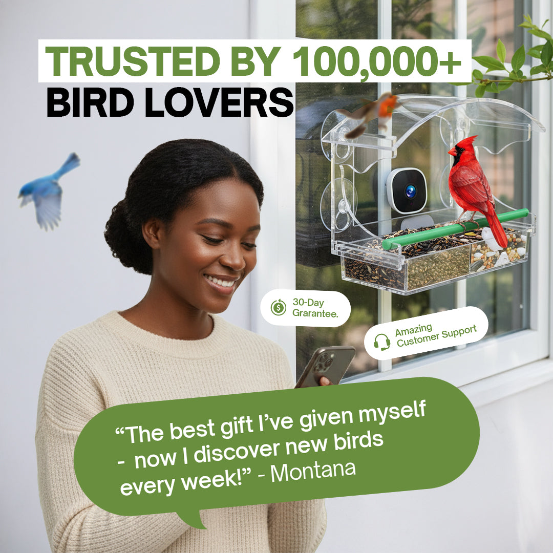 HappyBird Go - SMART birdfeeder with camera