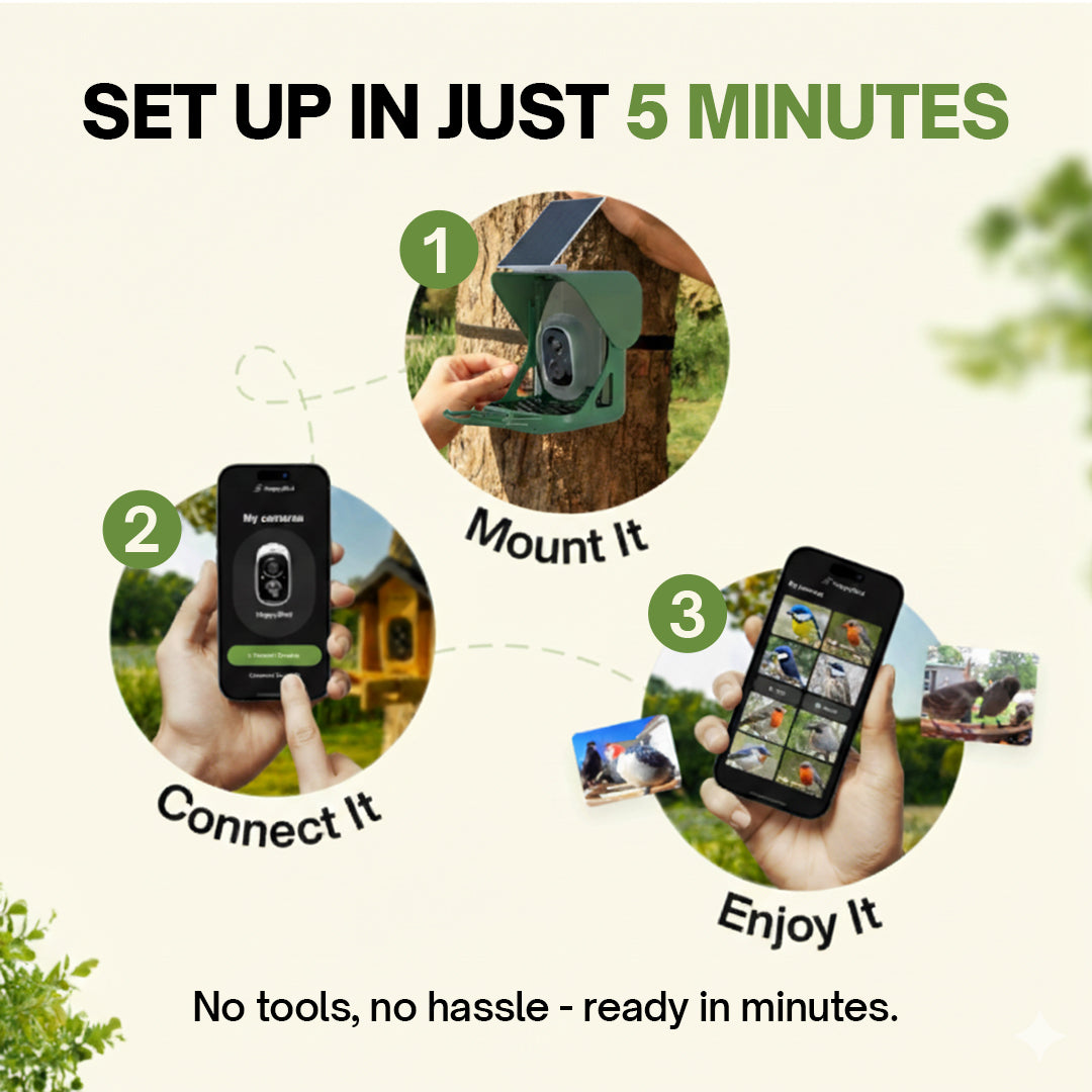 HappyBird Lite - SMART birdfeeder with camera