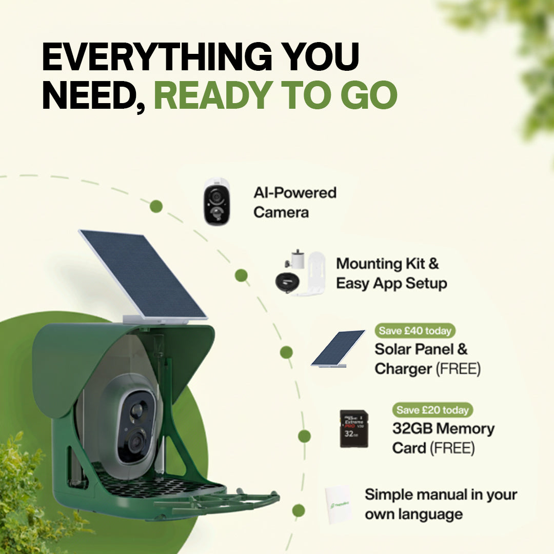 HappyBird Lite - SMART birdfeeder with camera