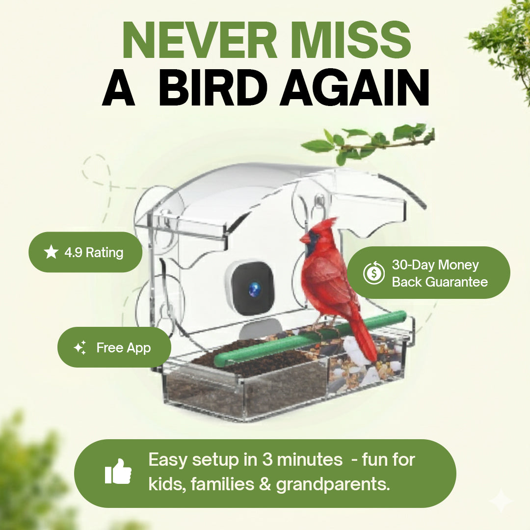 HappyBird Go - SMART birdfeeder with camera